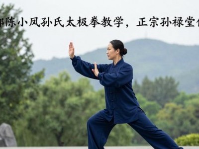 望都陈小凤孙氏太极拳教学，正宗孙禄堂传人