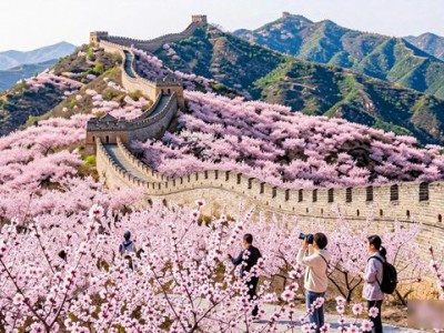 迁西二手房出售 本地人推荐好房