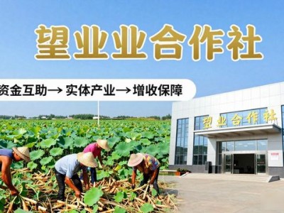 望都恒业合作社：莲藕种植大户，信用合作助农增收