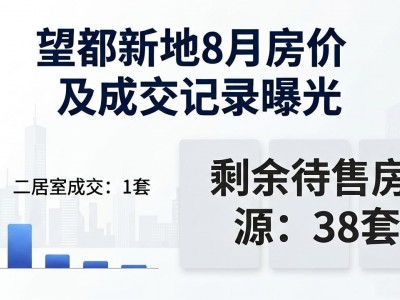 望都新地8月房价及成交记录曝光，二居室0万成交