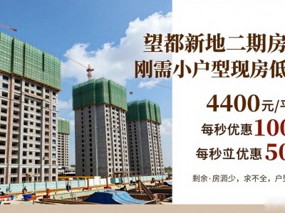 望都新地二期房子 刚需小户型现房低价
