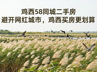 鸡西58同城二手房 避开网红城市，鸡西买房更划算