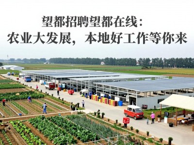 望都招聘望都在线：农业大发展，本地好工作等你来