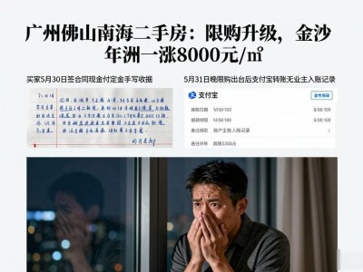 广州佛山南海二手房：限购升级，金沙洲一年涨8000元/㎡