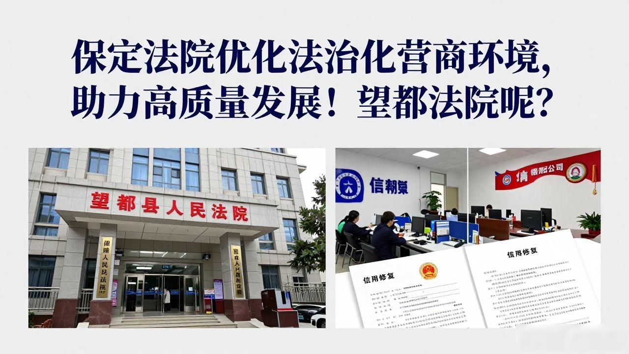 望都法院_保定市中级人民法院 法治化营商环境 高质量发展
