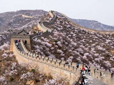 想找迁西盛世峰景二手房 本地靠谱房源信息合集来参考
